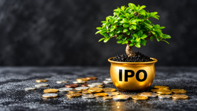 ipo allotment status