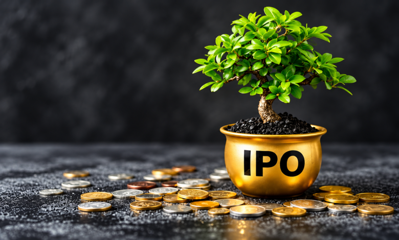 ipo allotment status