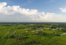 Lands for sale in bangalore
