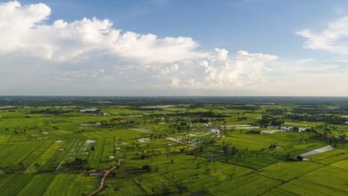 Lands for sale in bangalore