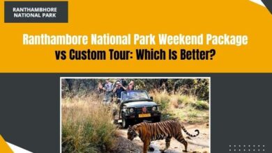 Ranthambore Tiger weekend tour
