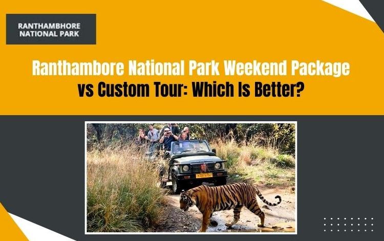 Ranthambore Tiger weekend tour