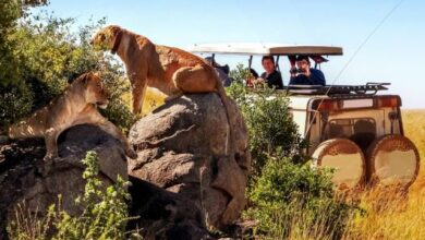 Ranthambore jeep safari timings