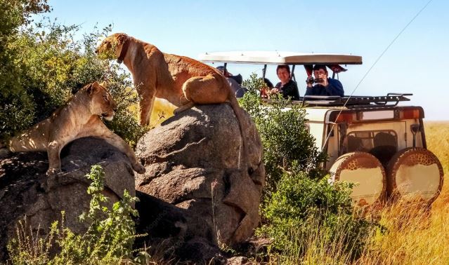 Ranthambore jeep safari timings