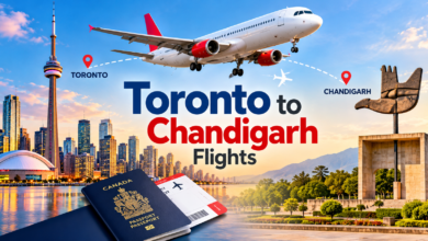 Toronto to Chandigarh Flights