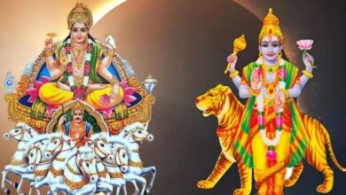 rahu shanti puja cost​